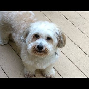 Meet your Posher, Sharon